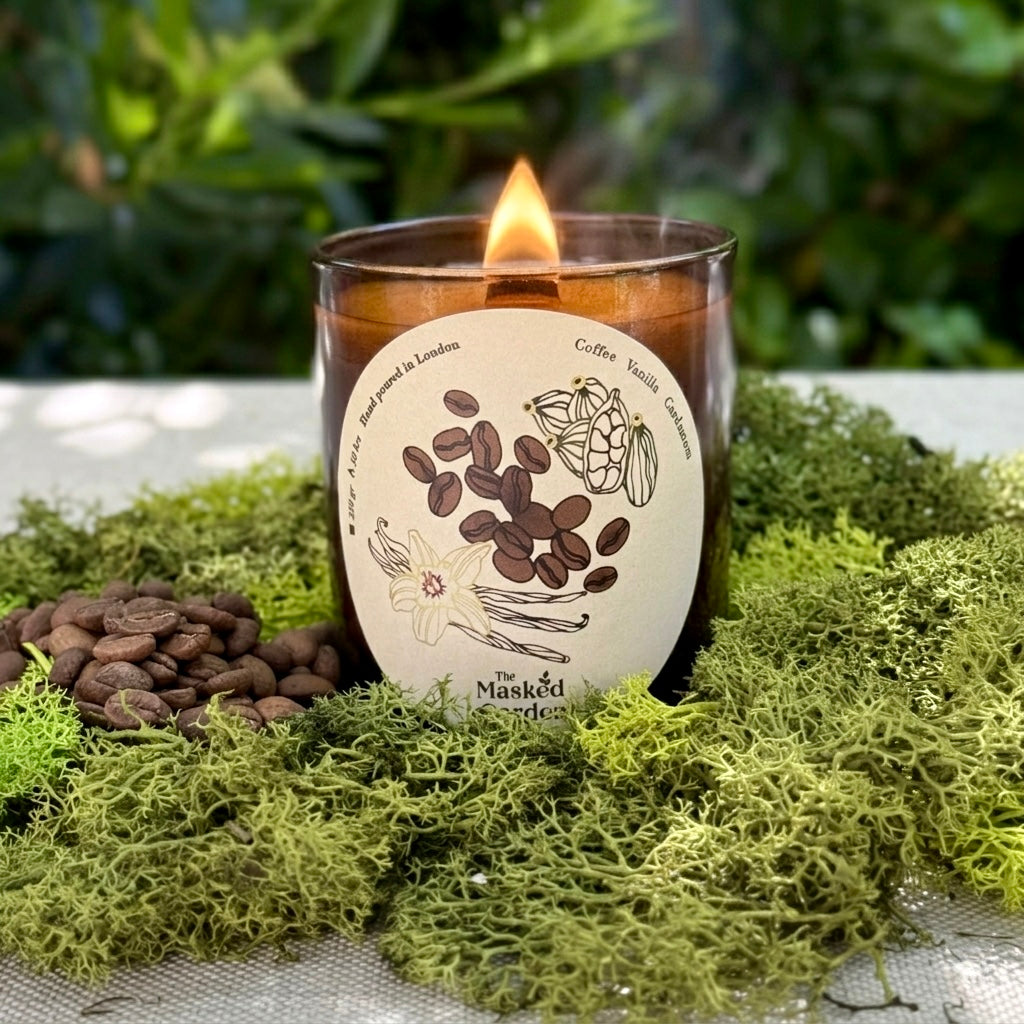 Coffee & Cardamom